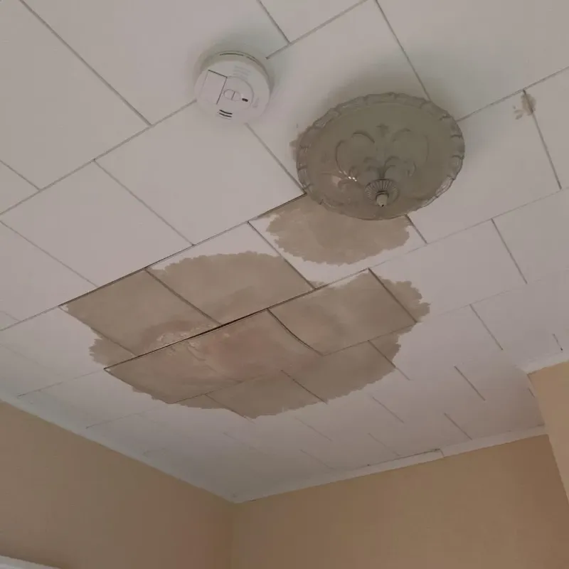 Ceiling Water Damage Repair in Ashland, IL