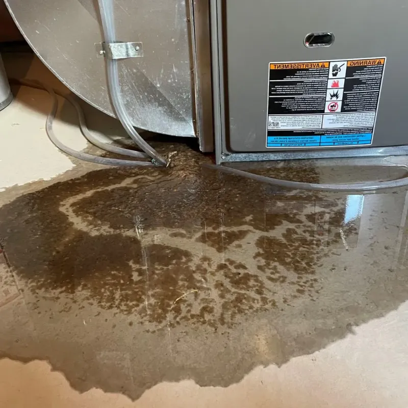 Pipe Burst and Leak Restoration in Ashland, IL