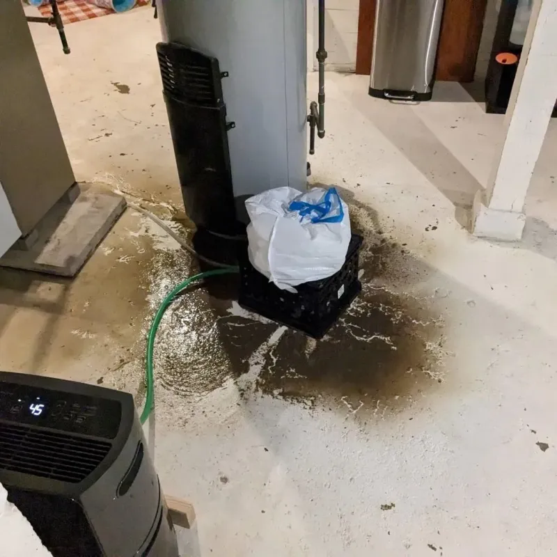 Sewage Backup Cleanup Service in Ashland, IL